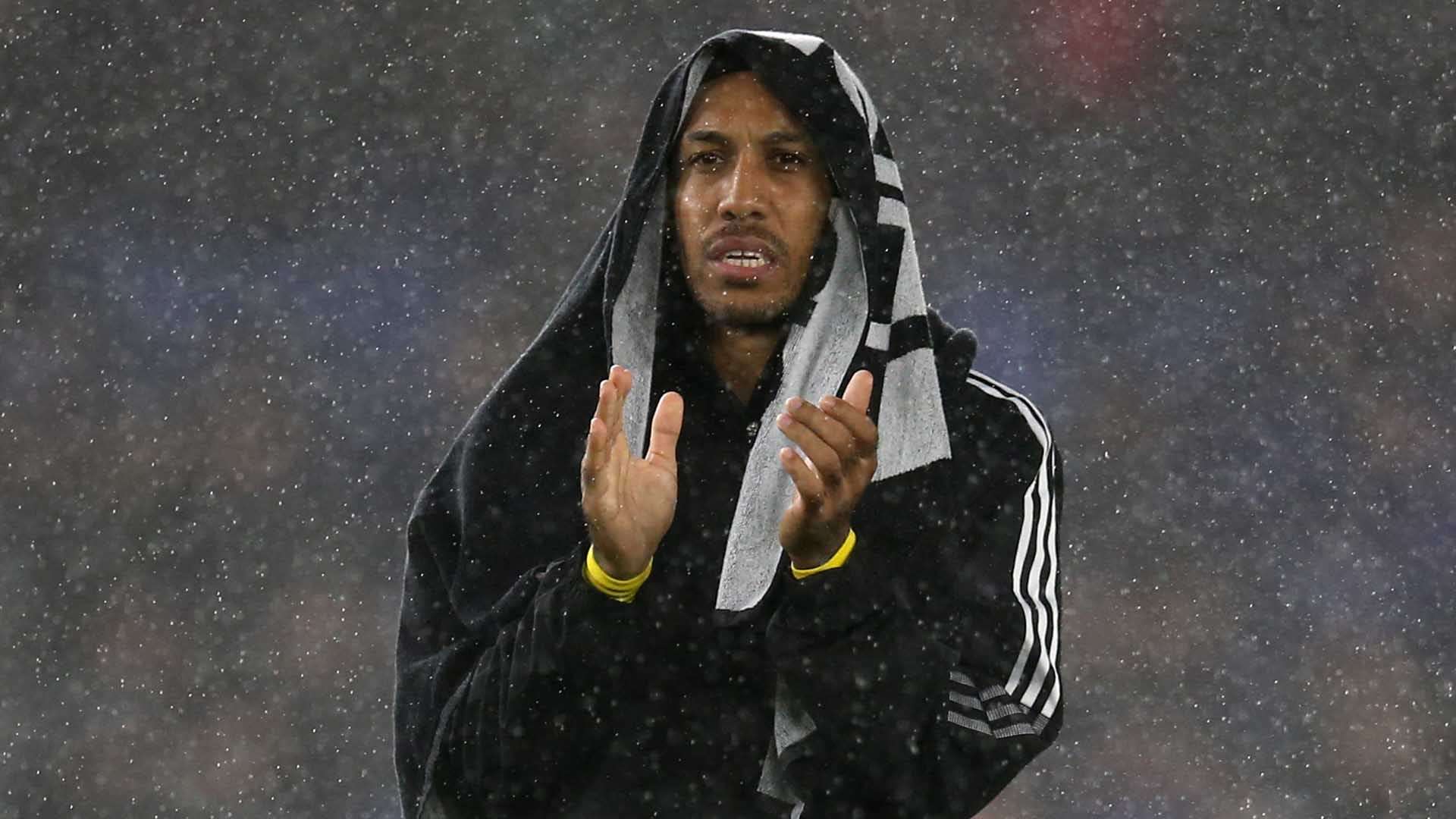 十年中涌现 十年中涌现