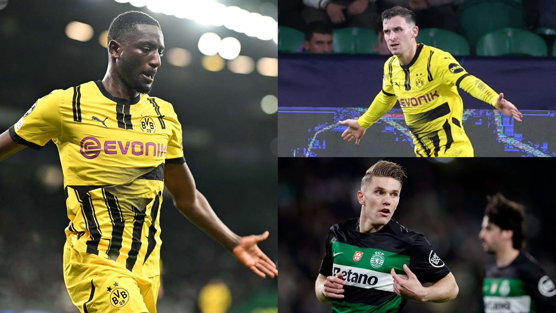 由于缺乏统 由于缺乏统