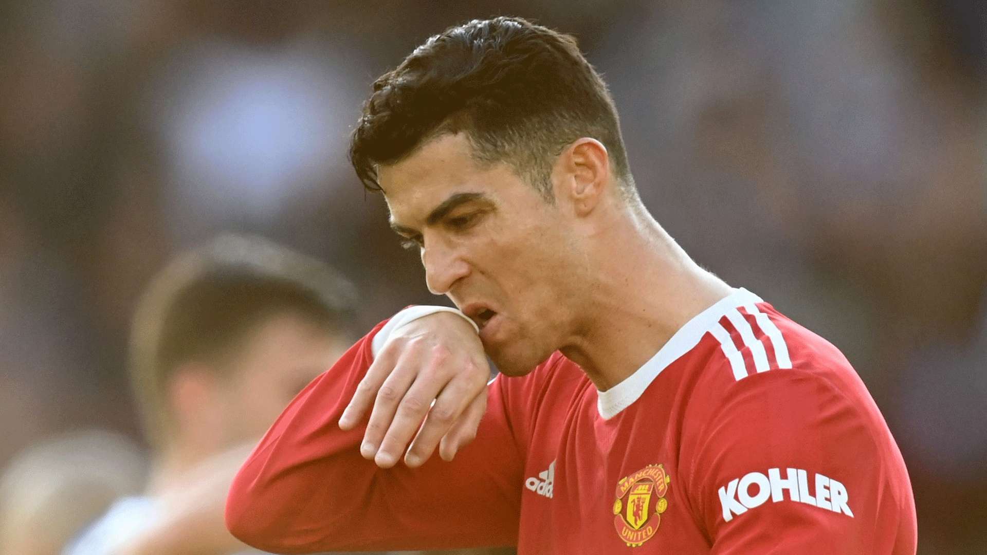 为两种主要 为两种主要